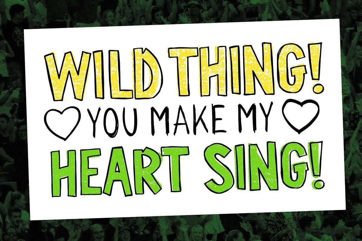 Sports Fan 手写标语英文字体